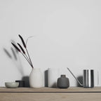 VI PLANTO_5-medium.webp