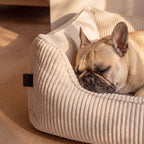 Hundebett ANTON Cord Beige