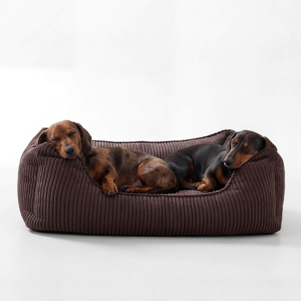 Hundebett ANTON Cord Braun