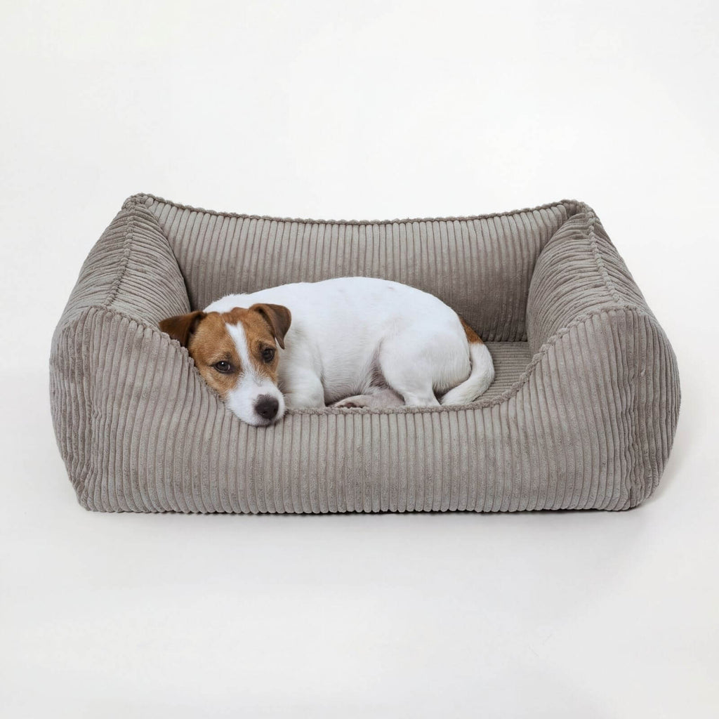 Hundebett ANTON Cord Grau