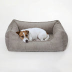 Hundebett ANTON Cord Grau