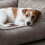 Hundebett ANTON Cord Grau