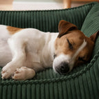 Hundebett ANTON Cord Olive