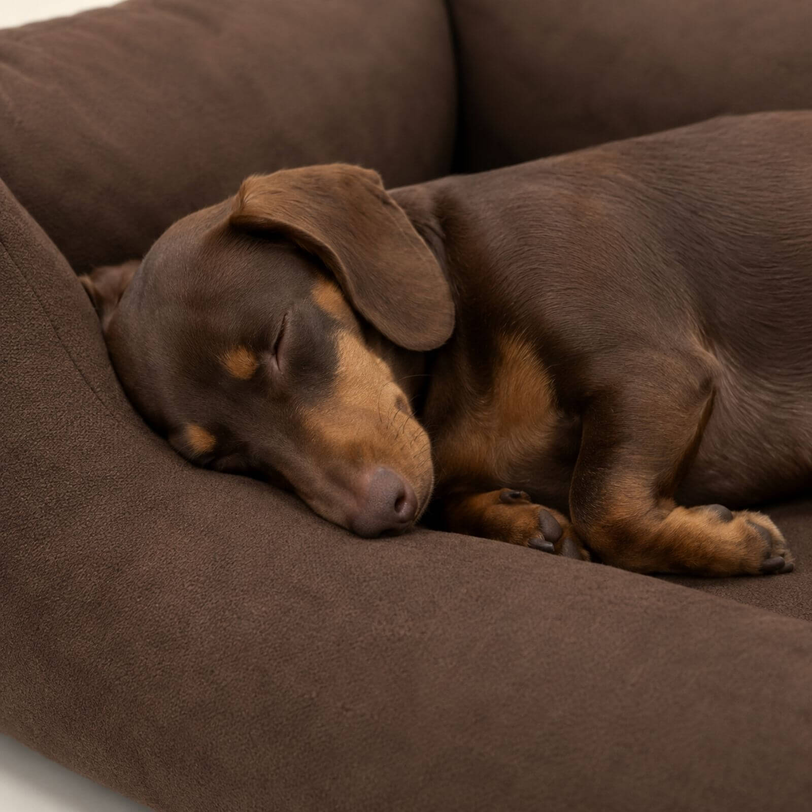 Hundebett EMMA Braun