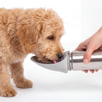 Trinkflasche für Hunde PAULA 500ml