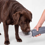 Trinkflasche für Hunde PAUL 800ml