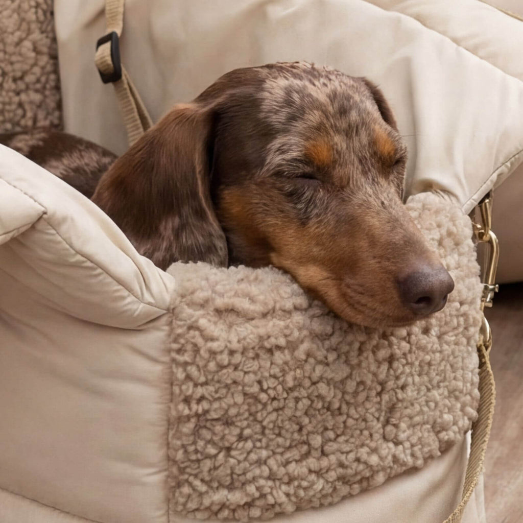 Hundetragetasche SARA Beige