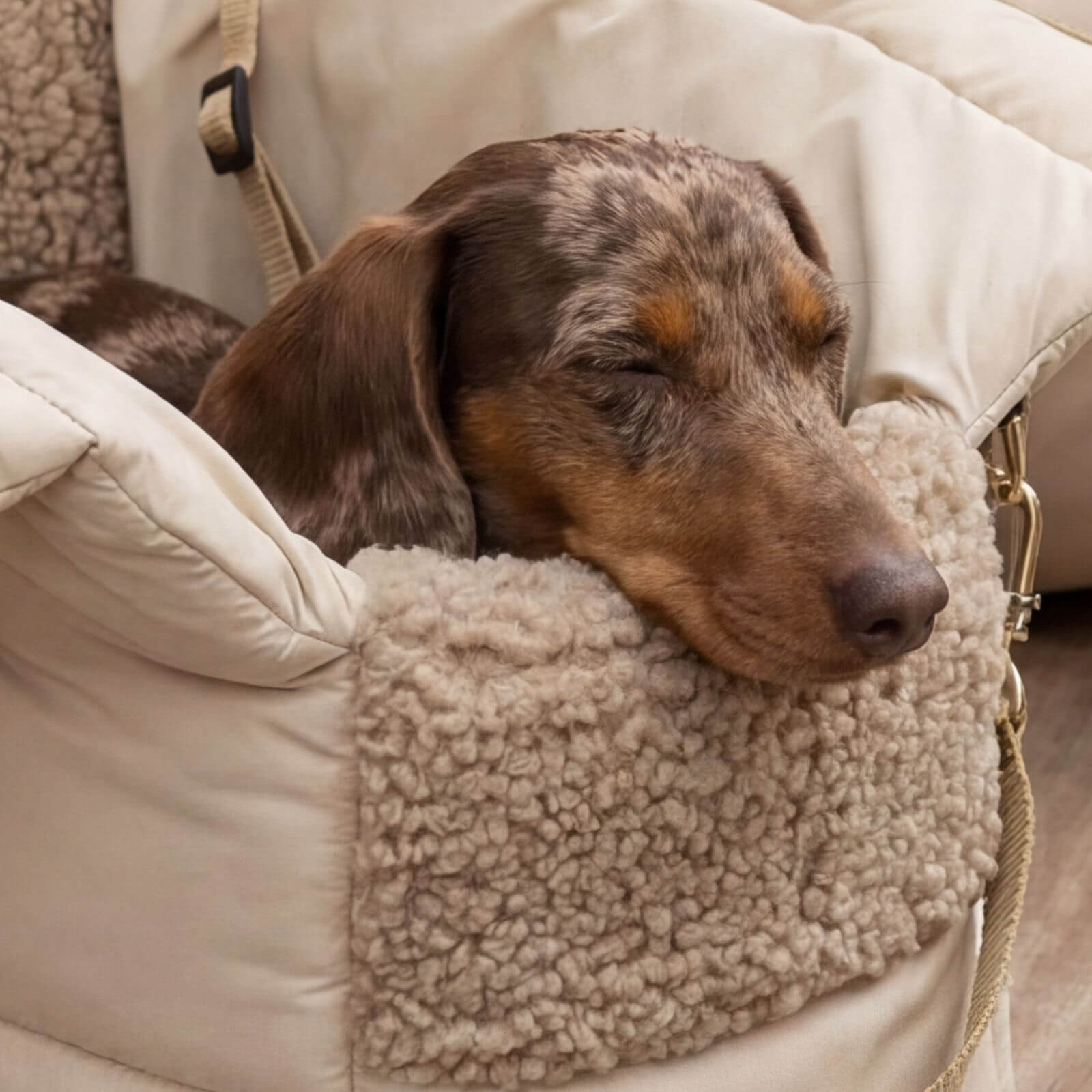 Hundetragetasche SARA Beige