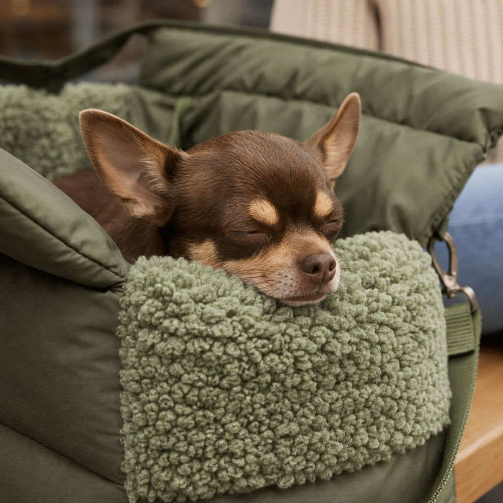 Hundetragetasche SARA Olive