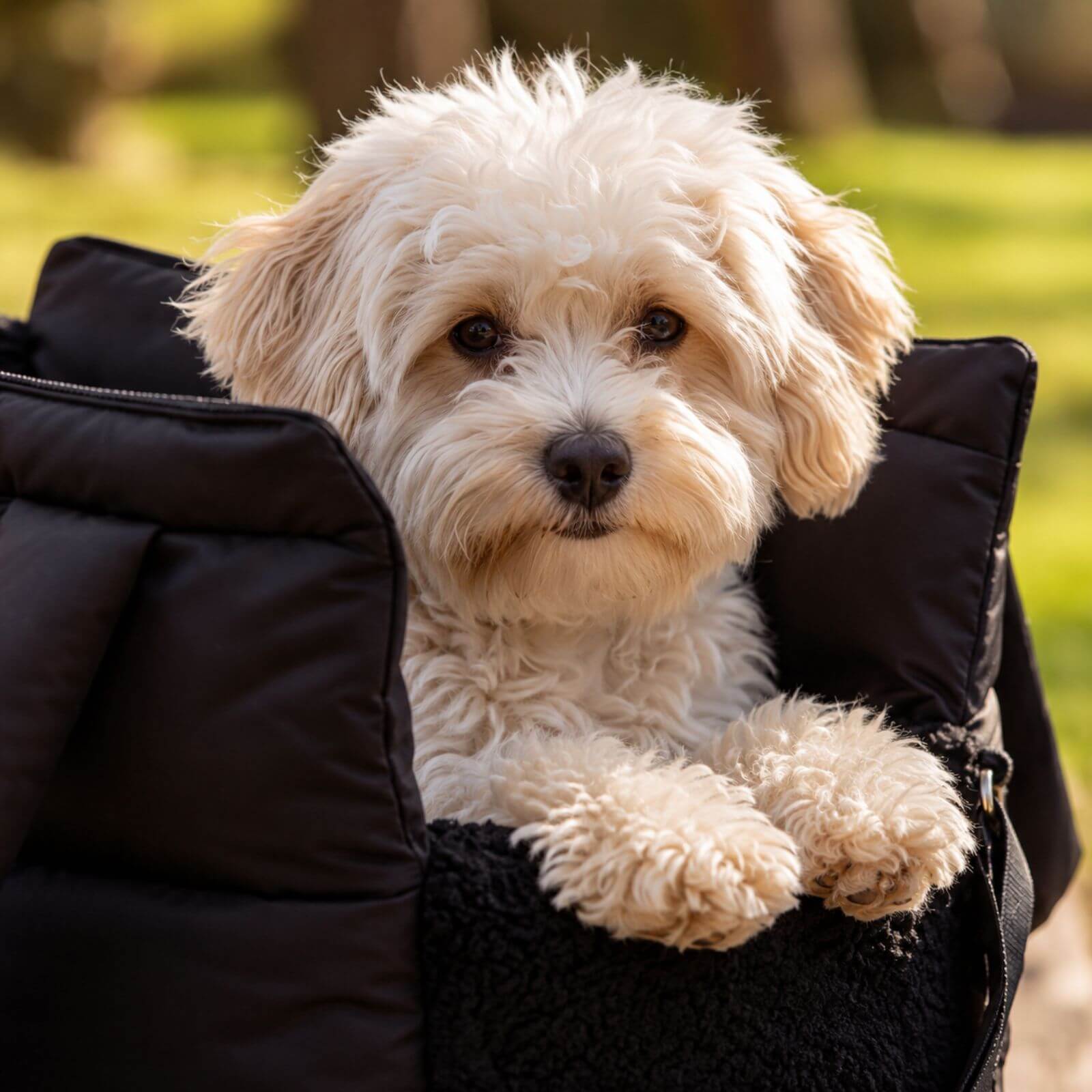 Hundetragetasche SARA Schwarz