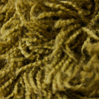 VI TCU0003-LR_B_01.jpg