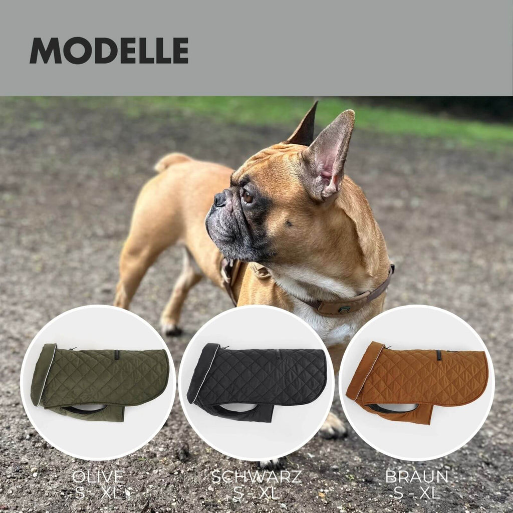 Hundejacke FRITZ Schwarz