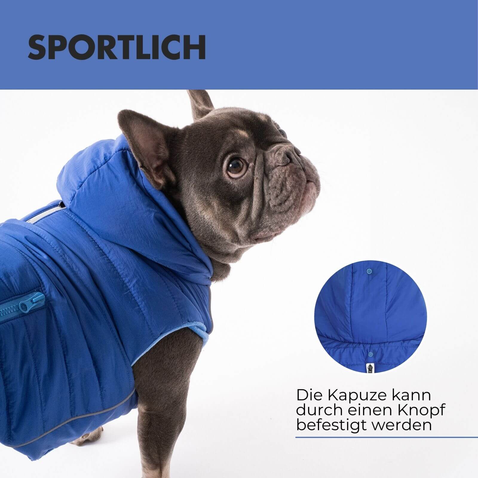 Hundejacke IMMI Blau