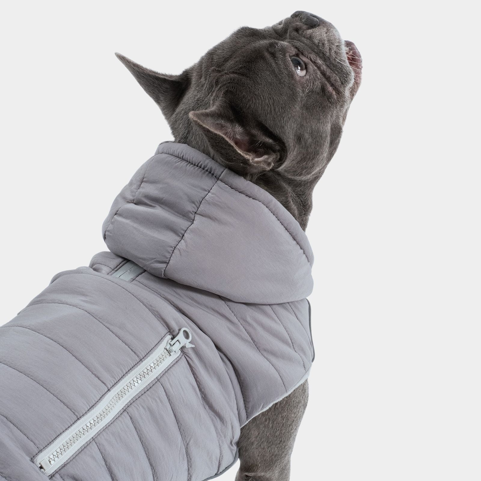 Hundejacke IMMI Grau