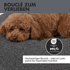 Hundebett LENI Bouclé Grau Ø 80cm
