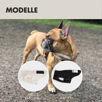Hundejacke MIKA Beige