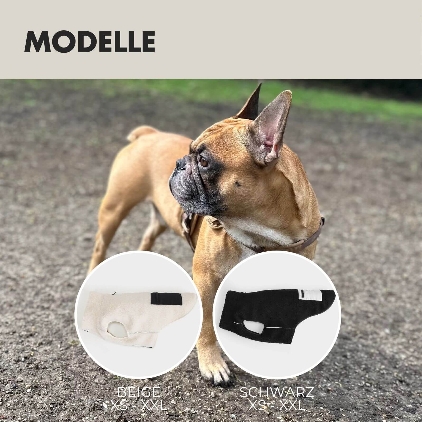 Hundejacke MIKA Beige