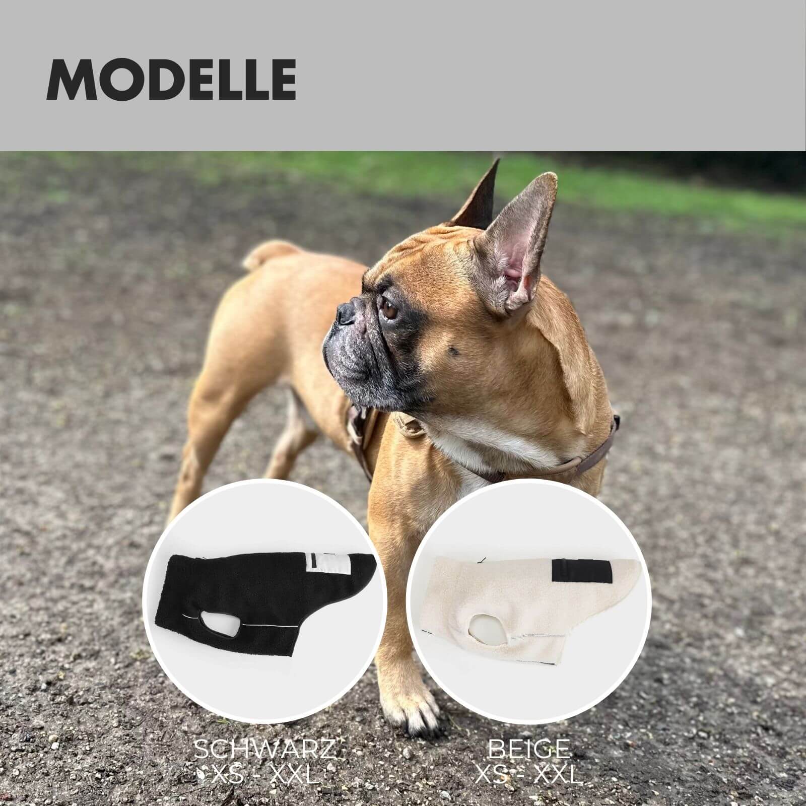 Hundejacke MIKA Schwarz