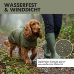 Hunderegenmantel OSKAR Olive