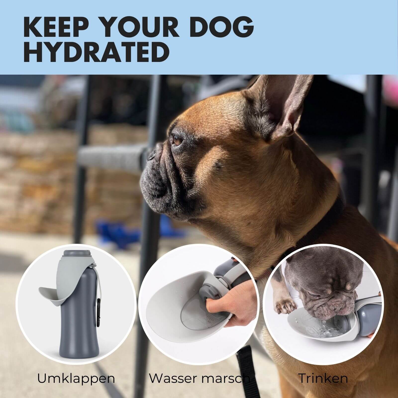 Trinkflasche für Hunde PAUL 800ml