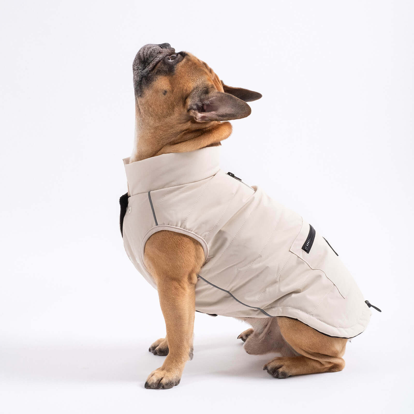 Hundejacke TONI Beige