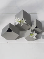 VI cubes-cements_30a52479-7880-4634-8ead-fc1ed6d46780.jpg
