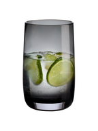 VI sarabi-glas-grau.png